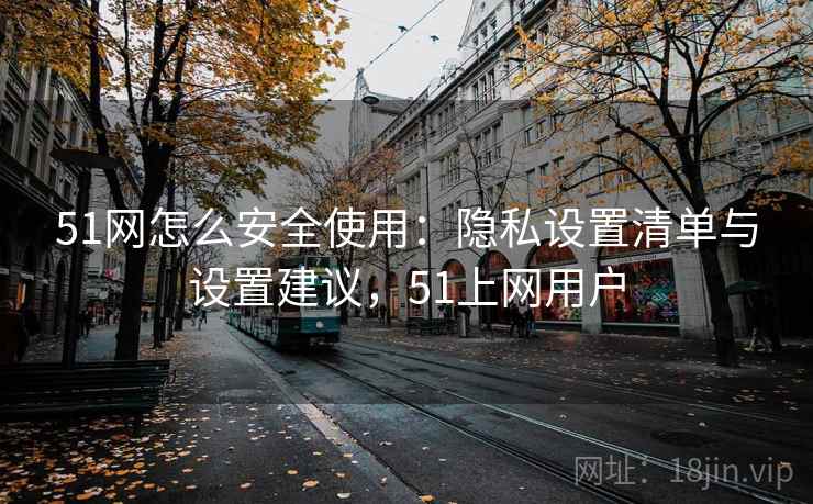 51网怎么安全使用：隐私设置清单与设置建议，51上网用户