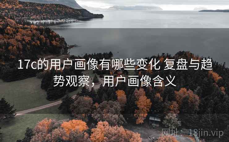 17c的用户画像有哪些变化 复盘与趋势观察，用户画像含义