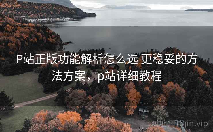 P站正版功能解析怎么选 更稳妥的方法方案，p站详细教程