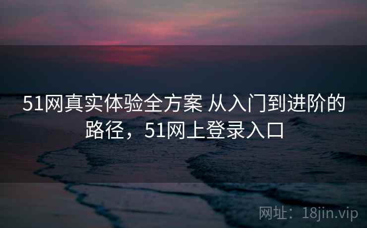 51网真实体验全方案 从入门到进阶的路径，51网上登录入口