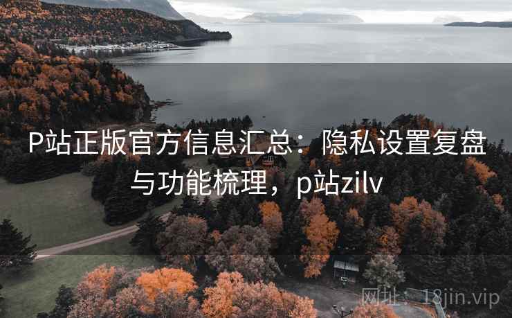 P站正版官方信息汇总：隐私设置复盘与功能梳理，p站zilv
