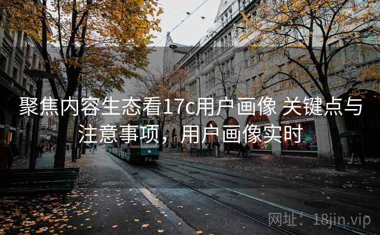 聚焦内容生态看17c用户画像 关键点与注意事项，用户画像实时