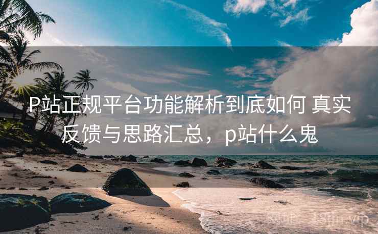 P站正规平台功能解析到底如何 真实反馈与思路汇总，p站什么鬼