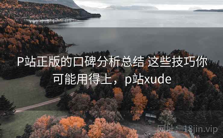 P站正版的口碑分析总结 这些技巧你可能用得上,p站xude P站正版的口碑分析总结 这些技巧你可能用得上,p站xude