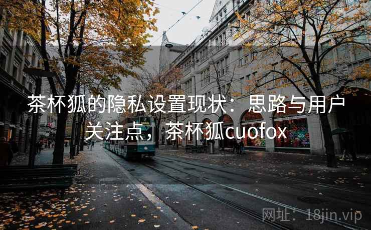 茶杯狐的隐私设置现状:思路与用户关注点,茶杯狐cuofox 茶杯狐的隐私设置现状:思路与用户关注点,茶杯狐cuofox