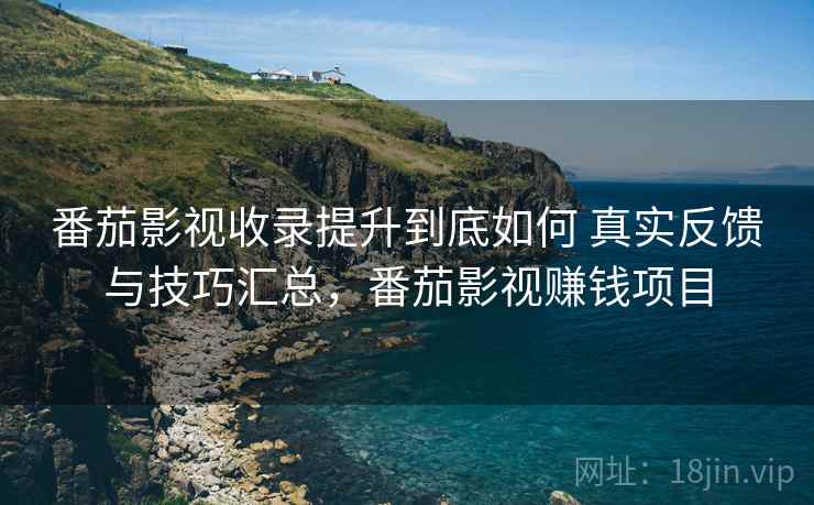番茄影视收录提升到底如何 真实反馈与技巧汇总，番茄影视赚钱项目