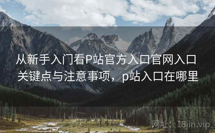 从新手入门看P站官方入口官网入口 关键点与注意事项，p站入口在哪里