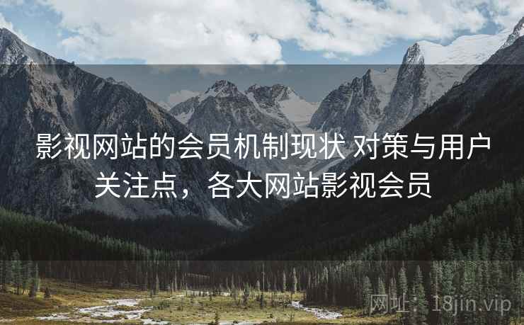 影视网站的会员机制现状 对策与用户关注点，各大网站影视会员