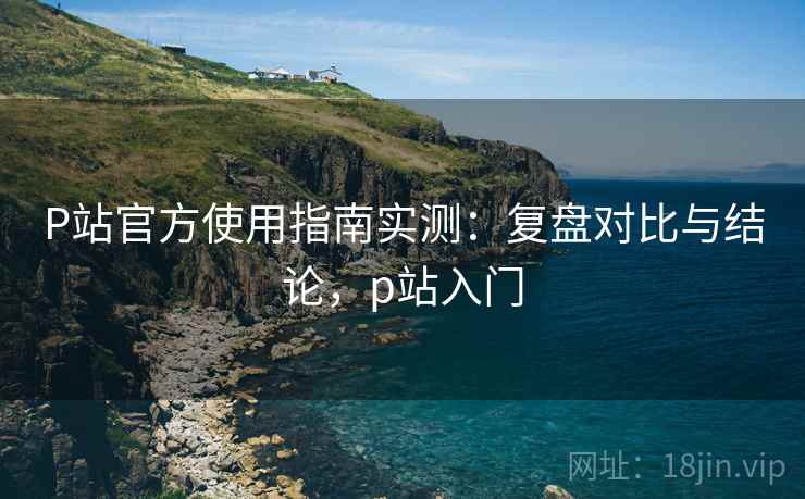 P站官方使用指南实测：复盘对比与结论，p站入门