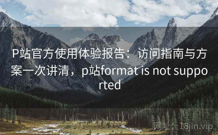 P站官方使用体验报告：访问指南与方案一次讲清，p站format is not supported