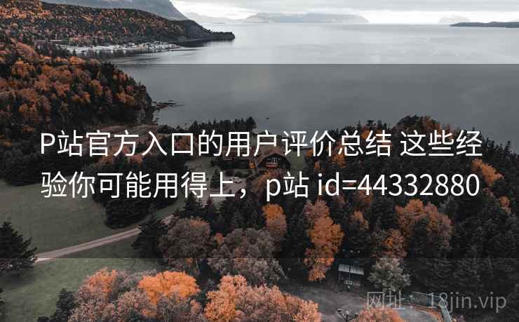 P站官方入口的用户评价总结 这些经验你可能用得上，p站 id=44332880