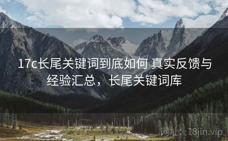 17c长尾关键词到底如何 真实反馈与经验汇总，长尾关键词库