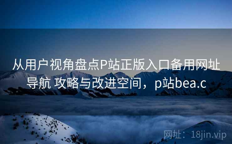 从用户视角盘点P站正版入口备用网址导航 攻略与改进空间，p站bea.c